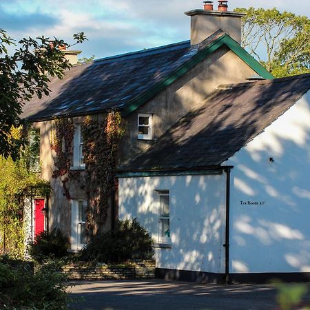 Ballylagan Organic Farm Straid  Esterno foto