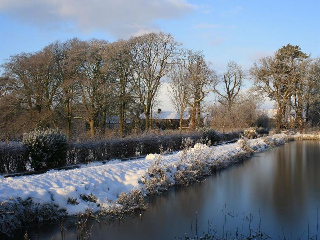 Ballylagan Organic Farm Straid  Esterno foto