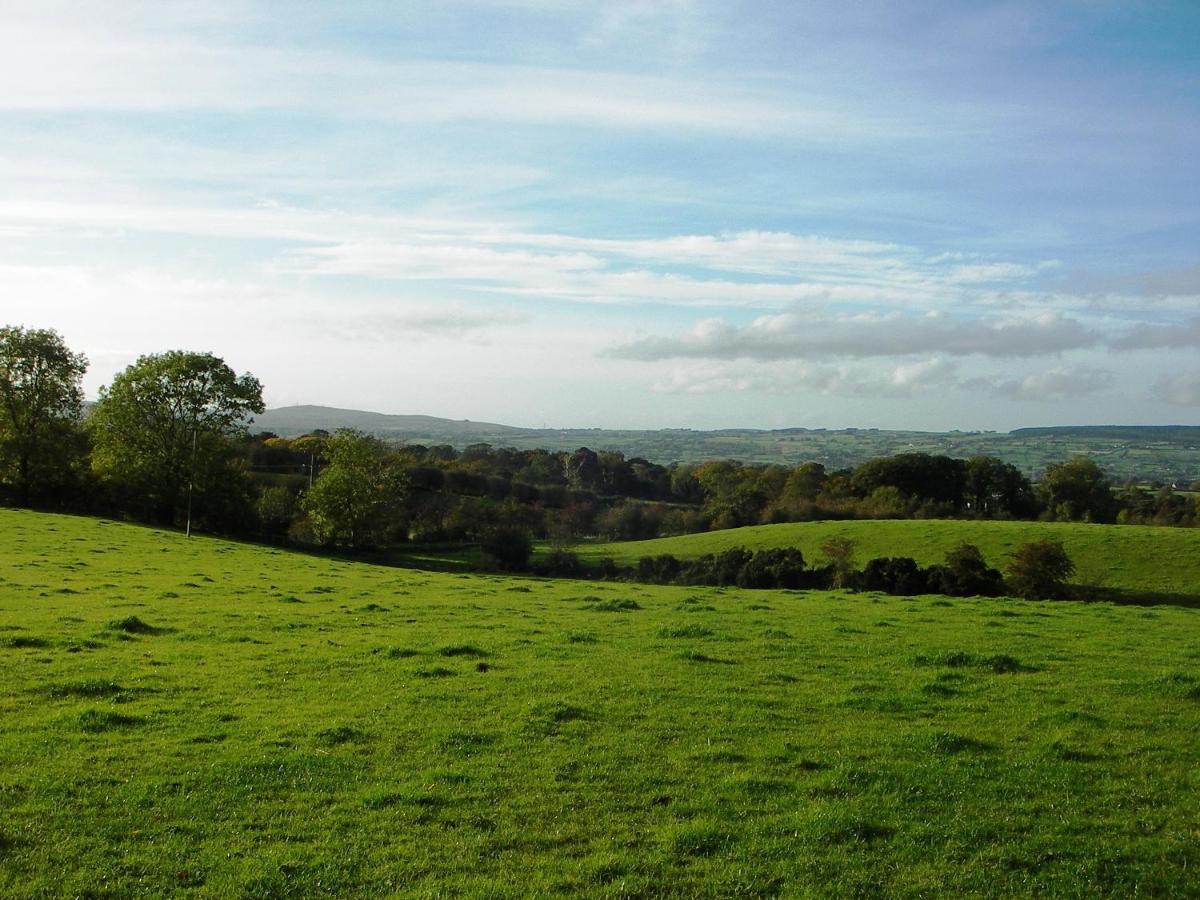 Ballylagan Organic Farm Straid  Esterno foto