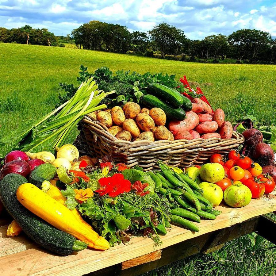Ballylagan Organic Farm Straid  Esterno foto