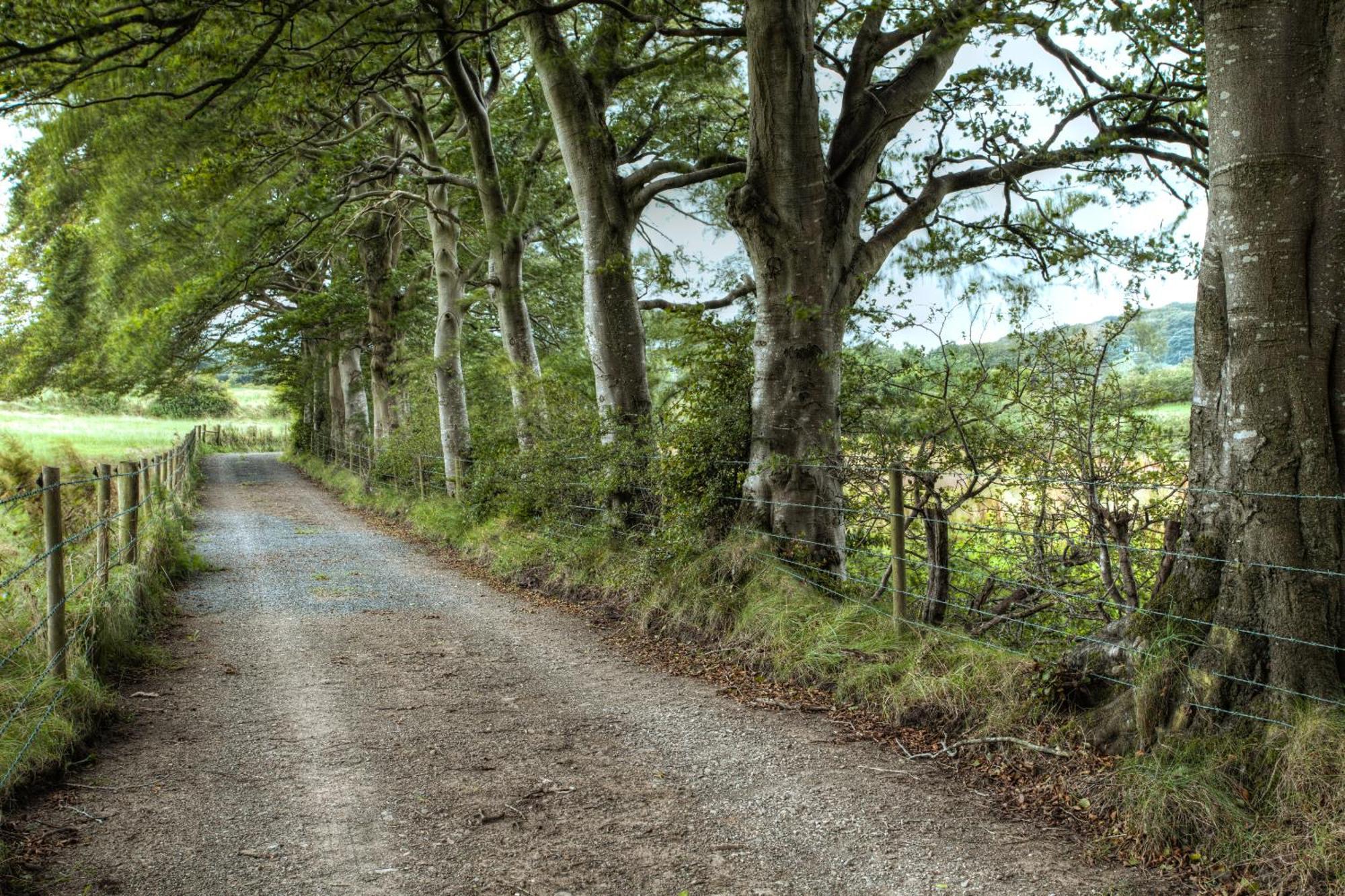 Ballylagan Organic Farm Straid  Camera foto