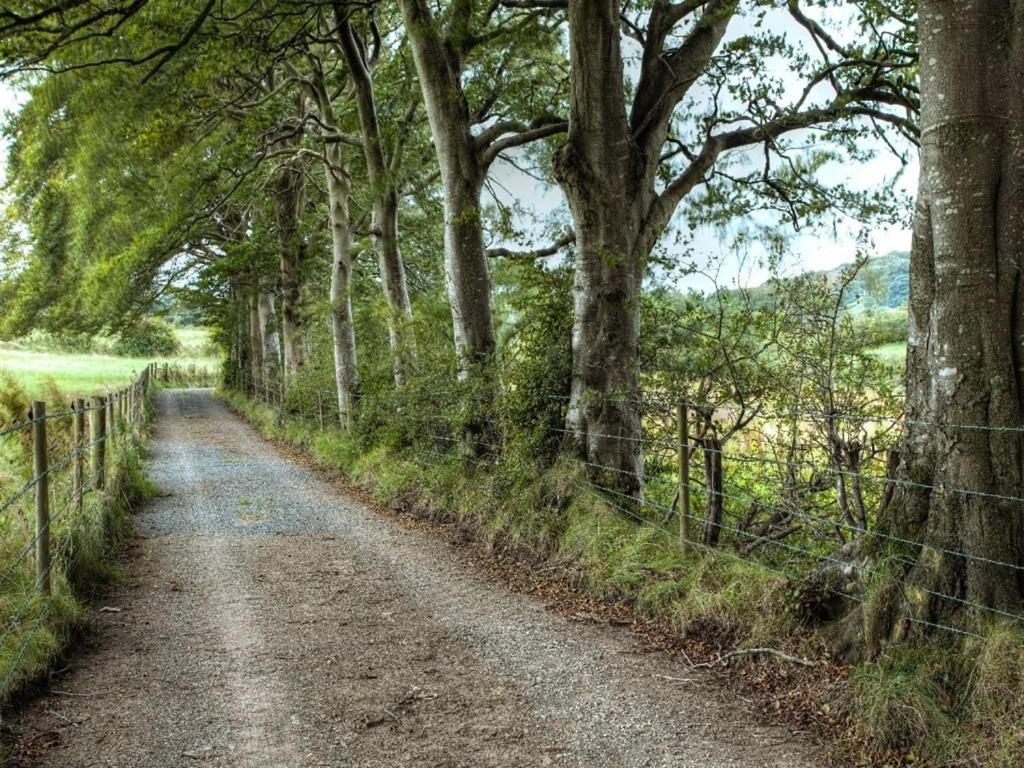 Ballylagan Organic Farm Straid  Esterno foto